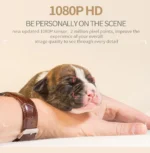 Sq11 Mini Camera Hd 1080p Sensor Night Vision Camcorder - Image 5